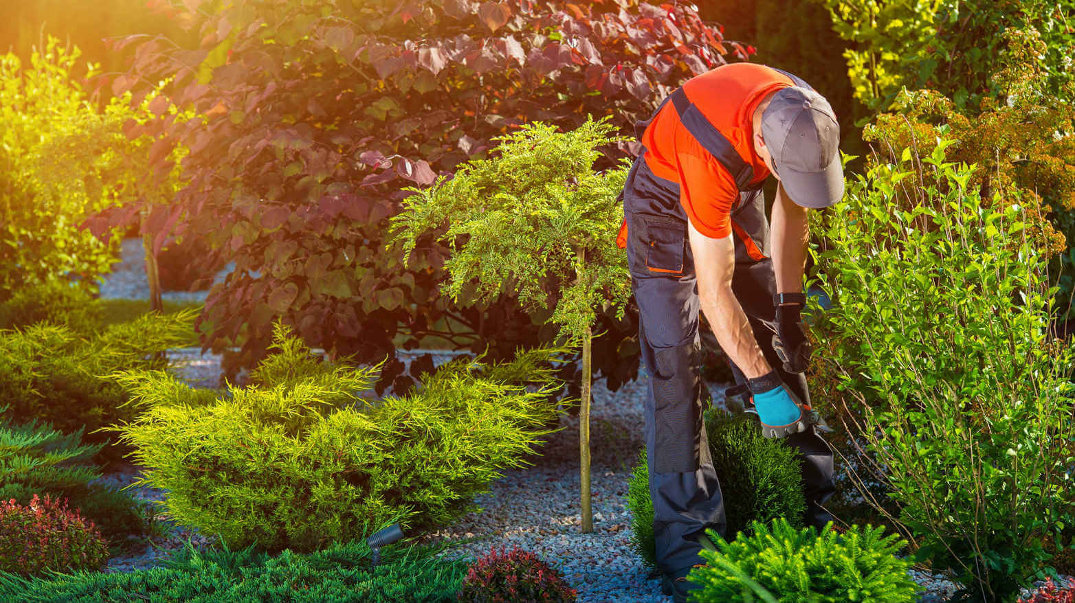 Landscaping Contractor