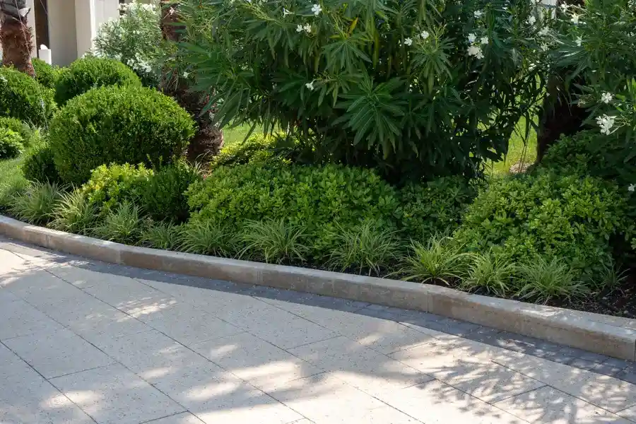 Bush Trimming