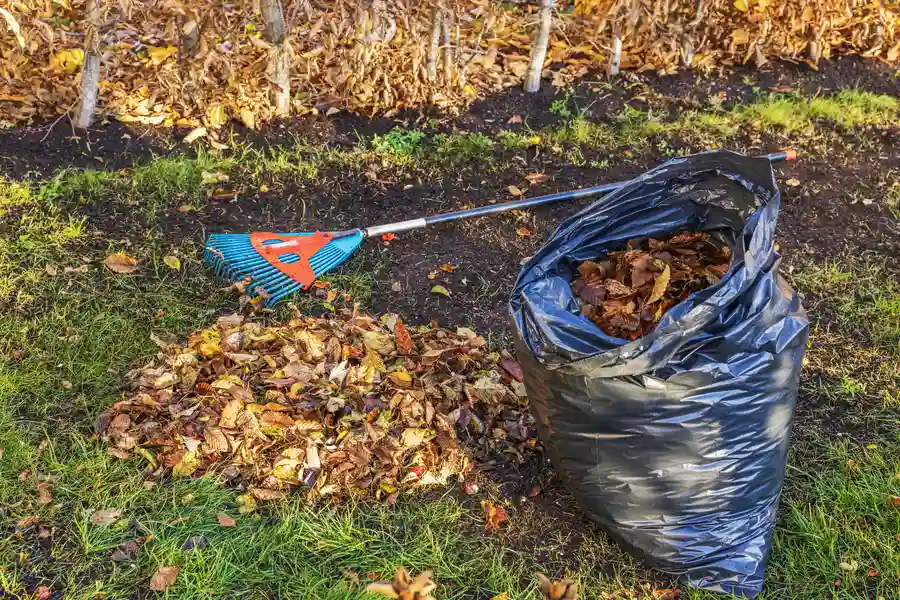 Expert Yard Cleanup Farmville, VA