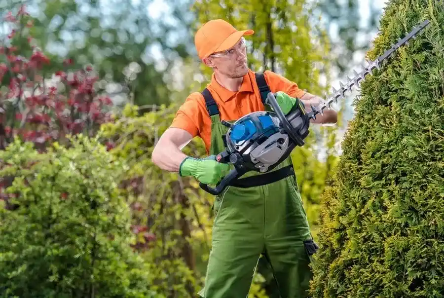 How Bush Trimming Contributes To Lawn Health Farmville, VA