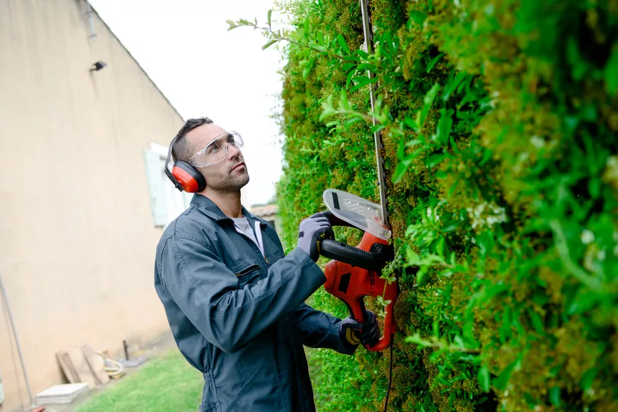How Bush Trimming Improves The Aesthetic Appeal Of Gardens in Farmville, VA