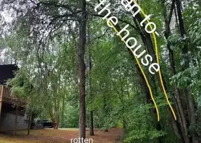 Landscaping-Company