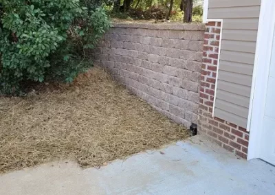 Landscaping-Service-Company