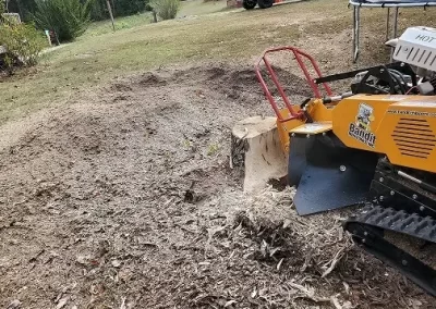 Landscaping-Service-Contractor