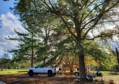 Lawn-Care-Company