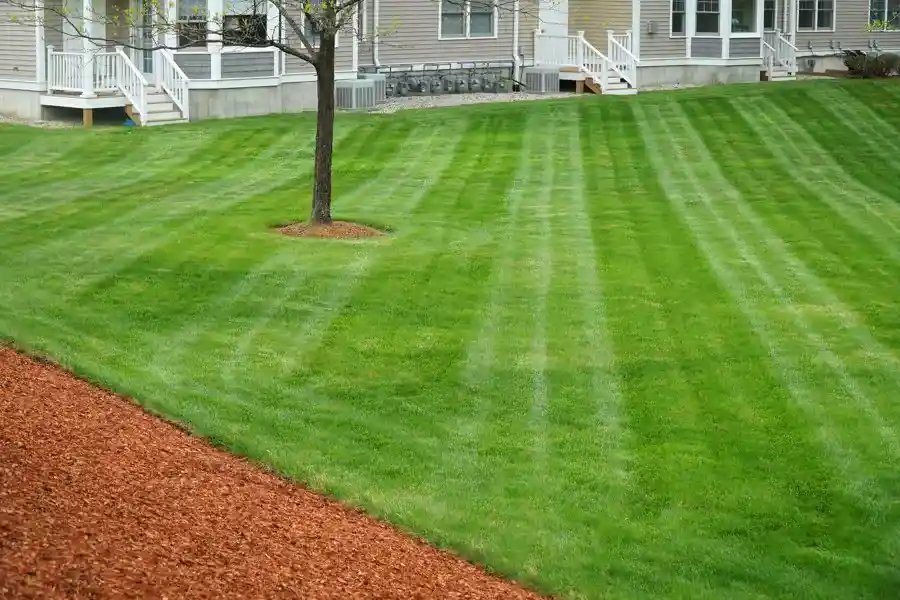 Lawn Mowing