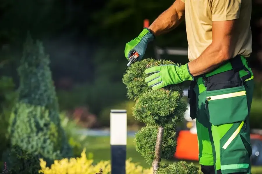 Local Bush Trimming Farmville, VA