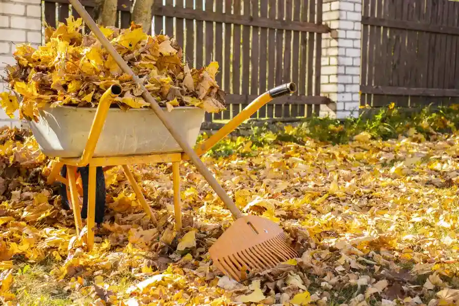 Other Services by Orange Contractors, LLC