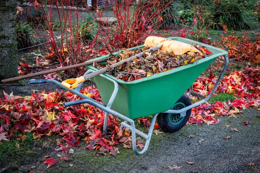 Preparing Yard Cleanup Before Selling Your Home Farmville, VA Preparing Yard Cleanup Before Selling Your Home Farmville, VA