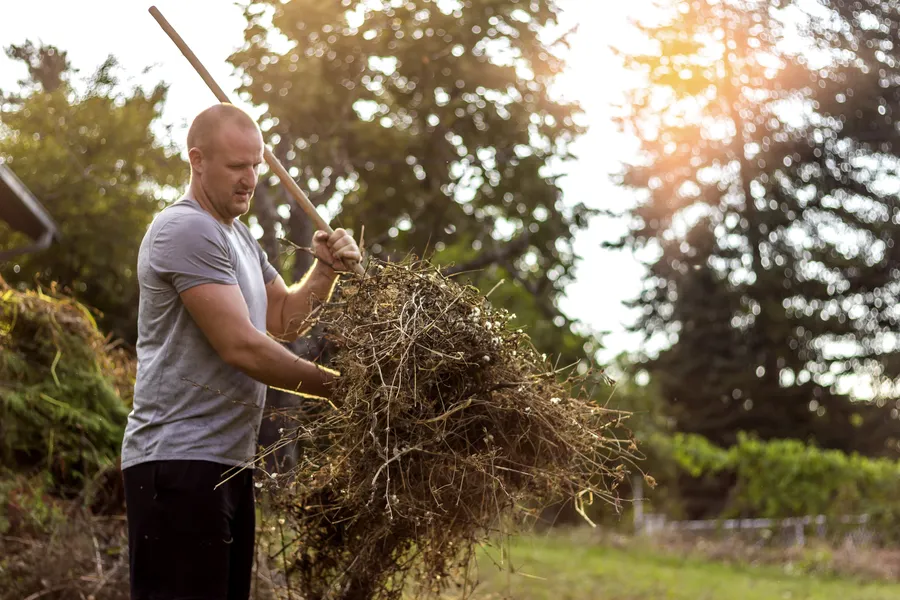 Preparing Yard Cleanup Before Selling Your Home in Farmville, VA Preparing Yard Cleanup Before Selling Your Home in Farmville, VA