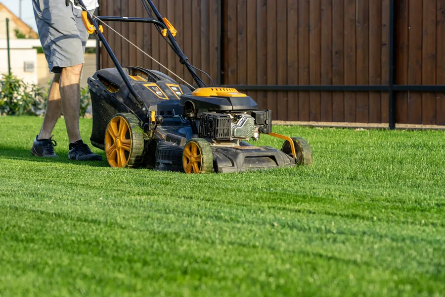 Preparing Your Lawn For Mowing During Extreme Weather Farmville, VA Preparing Your Lawn For Mowing During Extreme Weather Farmville, VA