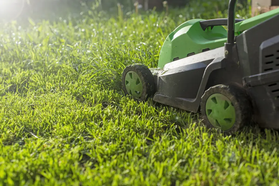 Preparing Your Lawn For Mowing During Extreme Weather in Farmville, VA Preparing Your Lawn For Mowing During Extreme Weather in Farmville, VA