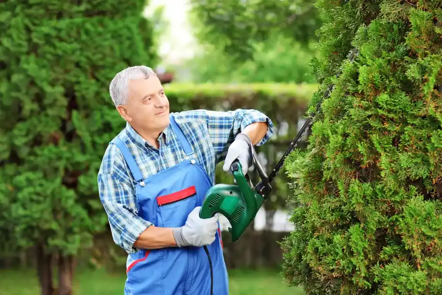 Professional Bush Trimming Farmville, VA