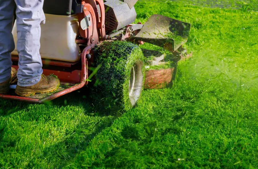 Quality Lawn Mowing Farmville, VA Quality Lawn Mowing Farmville, VA