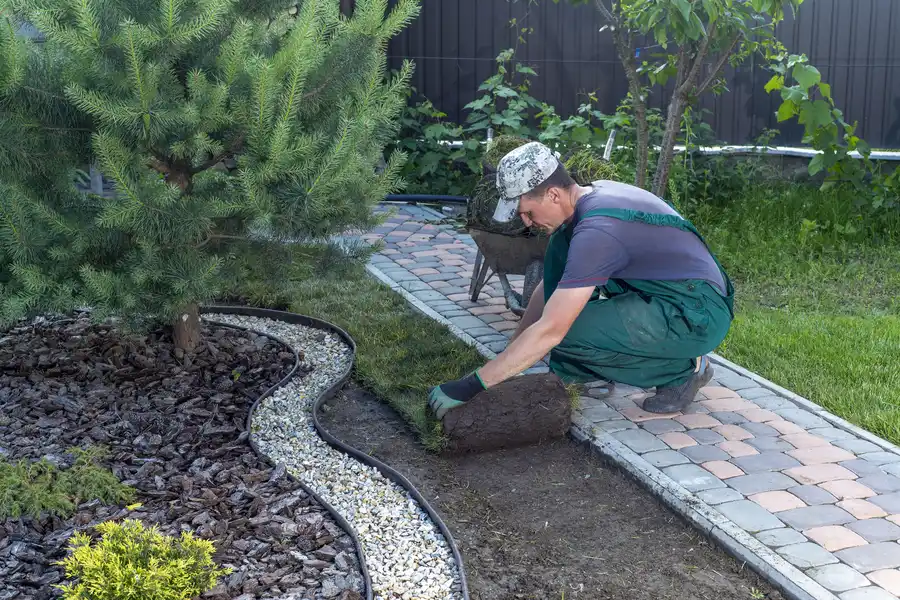Reputable Landscape Installation Farmville, VA Reputable Landscape Installation Farmville, VA