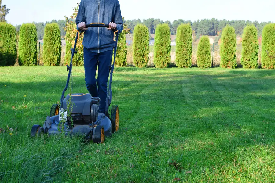 The Impact Of Grass Height On Lawn Health And Aesthetics Farmville, VA The Impact Of Grass Height On Lawn Health And Aesthetics Farmville, VA