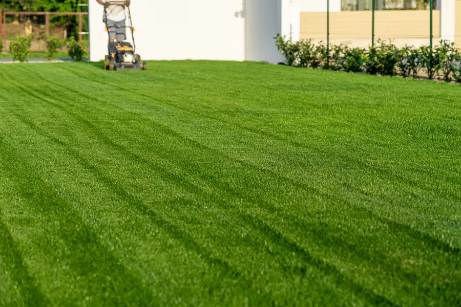 The Impact Of Grass Height On Lawn Health And Aesthetics in Farmville, VA The Impact Of Grass Height On Lawn Health And Aesthetics in Farmville, VA
