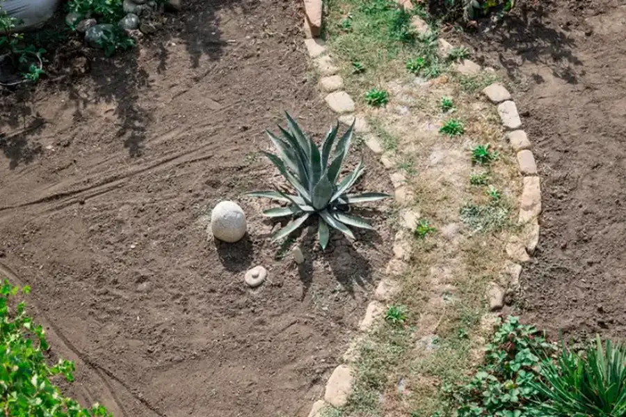 The Role Of Irrigation Systems In Landscape Installation Farmville, VA