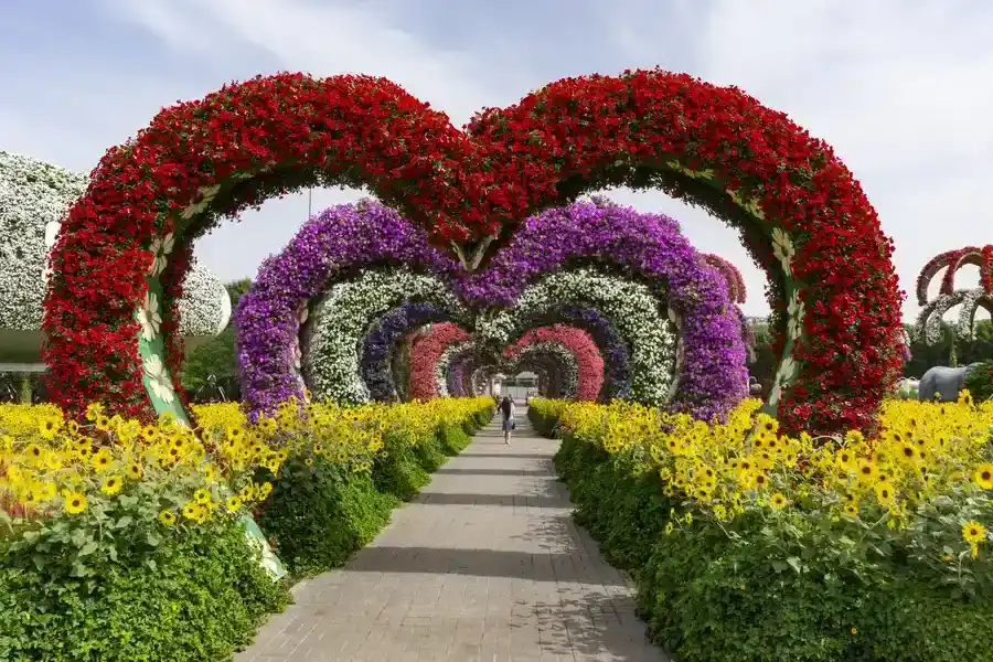 Top-rated Landscape Installation Farmville, VA Top-rated Landscape Installation Farmville, VA