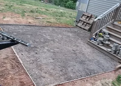 Tree-Arborist