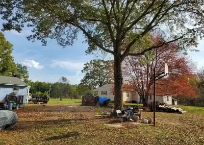 Tree-Removal-Services
