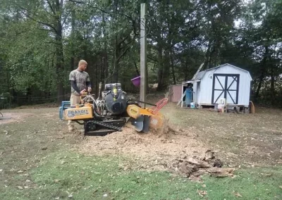 Tree-Trimming-Services