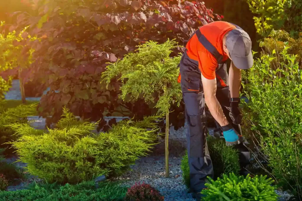 Trusted landscaping contractor in Farmville, VA Trusted landscaping contractor in Farmville, VA