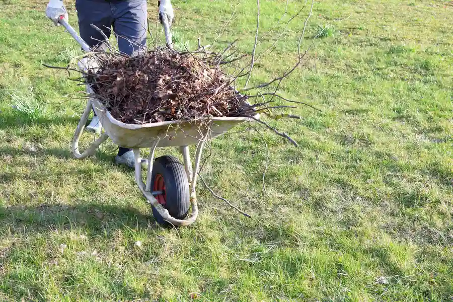 Yard Cleanup For Effective Leaf And Debris Control Farmville, VA Yard Cleanup For Effective Leaf And Debris Control Farmville, VA