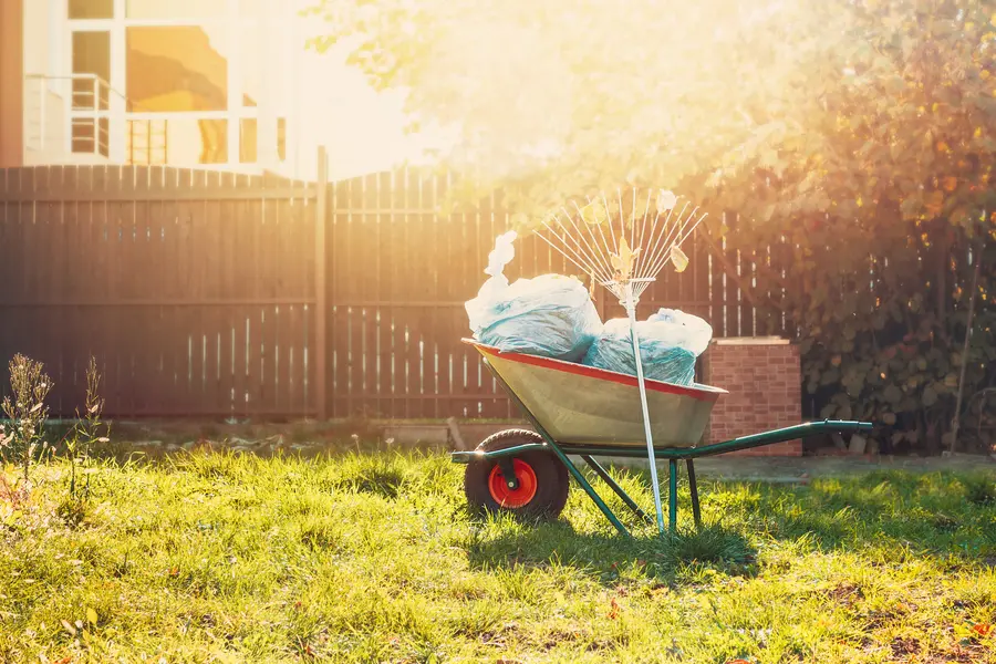 Yard Cleanup For Effective Leaf And Debris Control in Farmville, VA Yard Cleanup For Effective Leaf And Debris Control in Farmville, VA